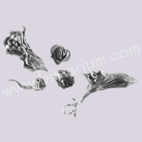 Bras droit - Homme-Arbre
