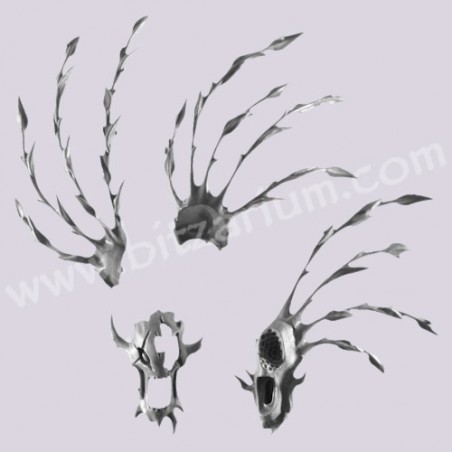 Tête 3 - Durthu