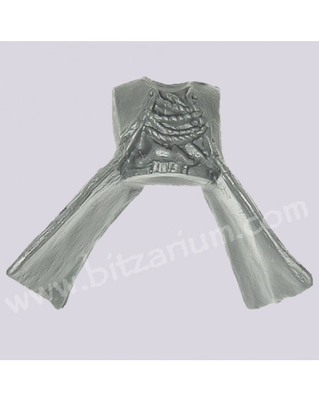 Torse 1