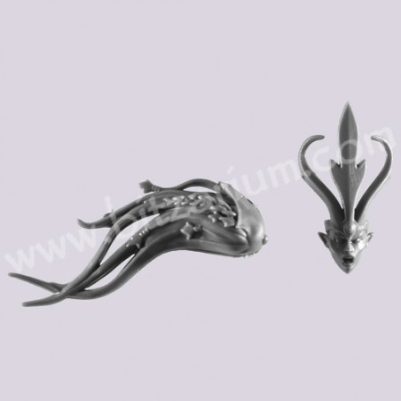 Head 1 - Sisters of the Thorn