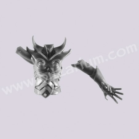 Torso C - Sisters of the Thorn