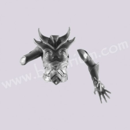 Torso D - Sisters of the Thorn