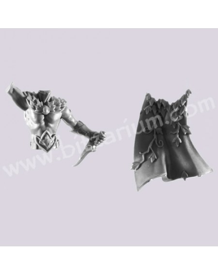 Torso H - Sisters of the Thorn