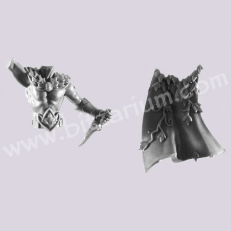 Torso H - Sisters of the Thorn