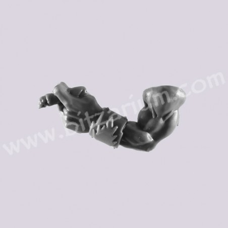 Left Arm 1 - Kaptin