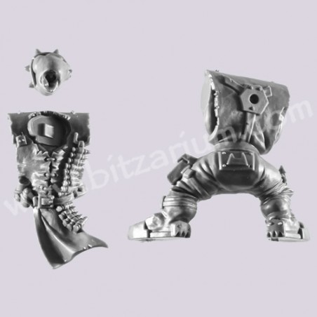 Body 3 - Flash Gitz