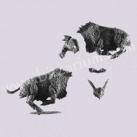 Sanglier 2 - Orques Sauvages sur Sanglier