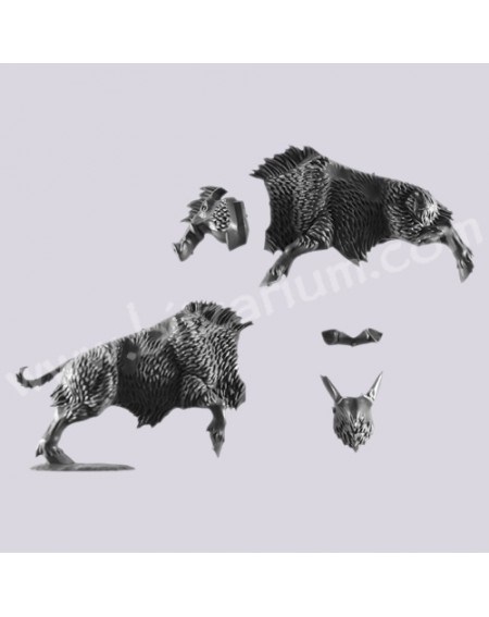 Sanglier 4 - Orques Sauvages sur Sanglier