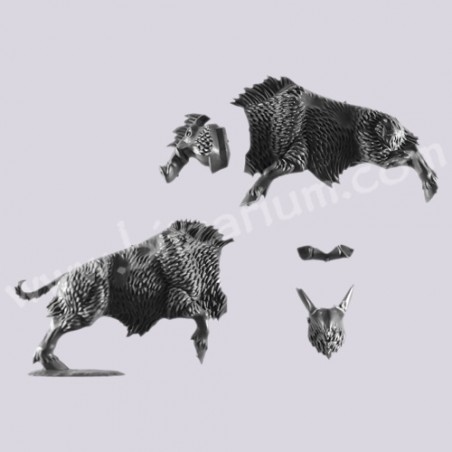Boar 4 - Savage Orc Boar Boyz