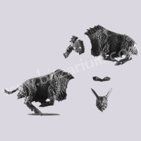 Sanglier 5 - Orques Sauvages sur Sanglier