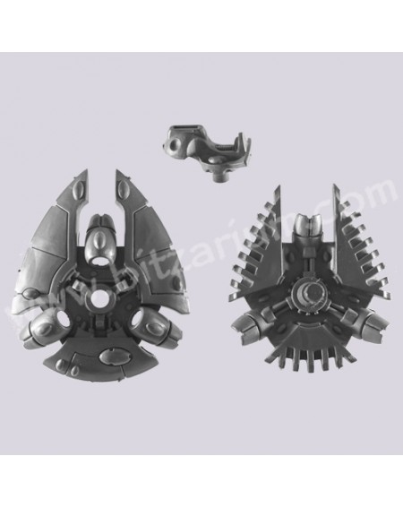 Body - Eldar Guardians