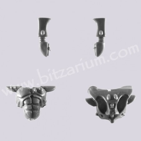 Torso 3 - Eldar Guardians