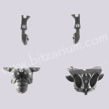 Torso 4 - Eldar Guardians