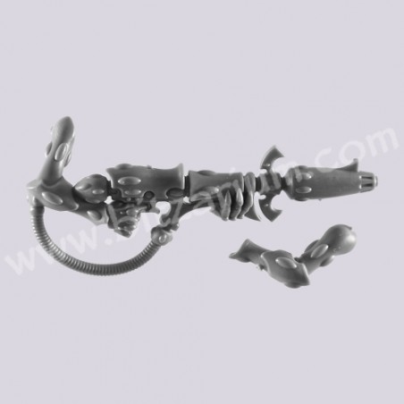 Wraithcannon 5 - Wraithguard