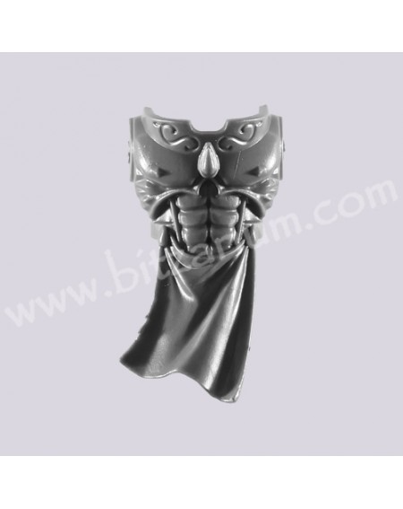 Front Torso - Blood Angels Tactical Squad