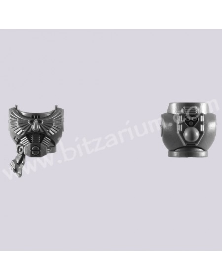 Torse C - Escouade Tactique Blood Angel