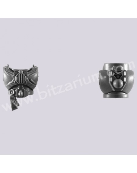 Torso D - Blood Angels Tactical Squad