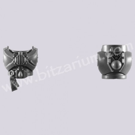 Torse D - Escouade Tactique Blood Angel