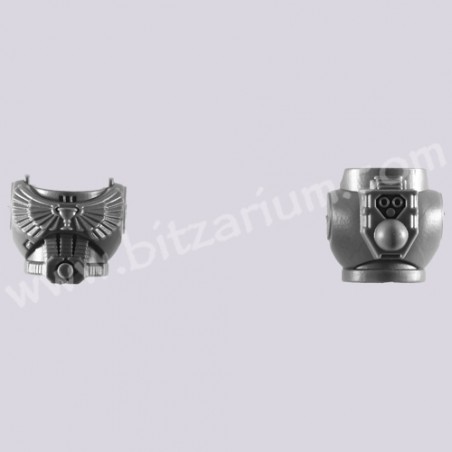 Torse E - Escouade Tactique Blood Angel