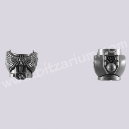 Torse G - Escouade Tactique Blood Angel