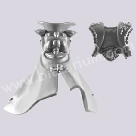 Master Torso - Harlequins