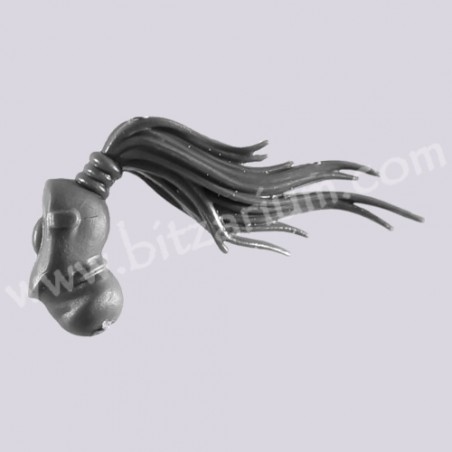 Tête d'Arlequin 2 - Skyweavers
