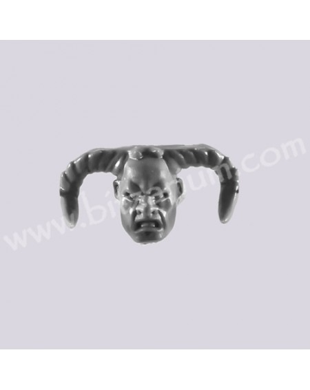 Champion Head 3 - Skullreapers