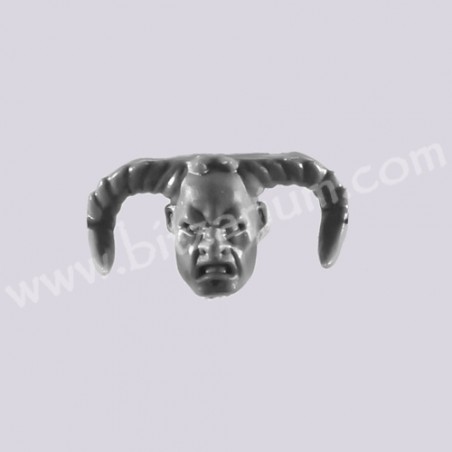 Champion Head 3 - Skullreapers
