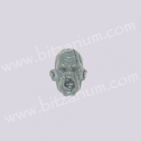 Head C