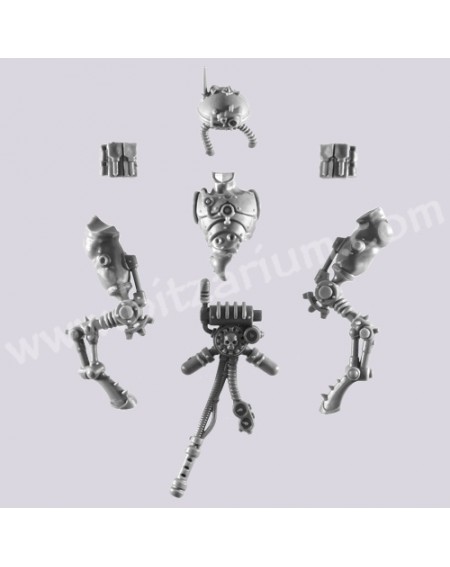 Body 4 - Sicarian Infiltrators