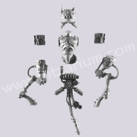 Body 5 - Sicarian Infiltrators