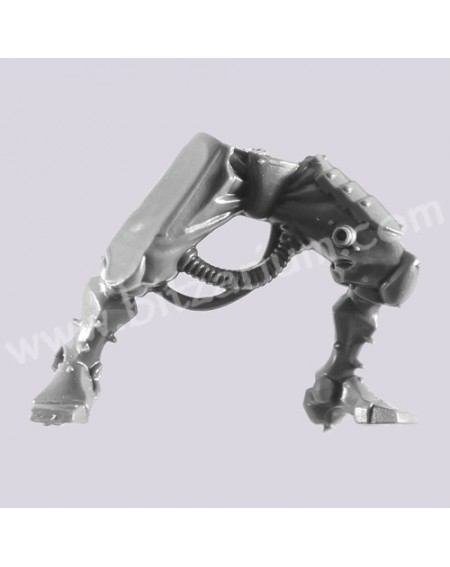 Jambes B - Rangers Skitarii